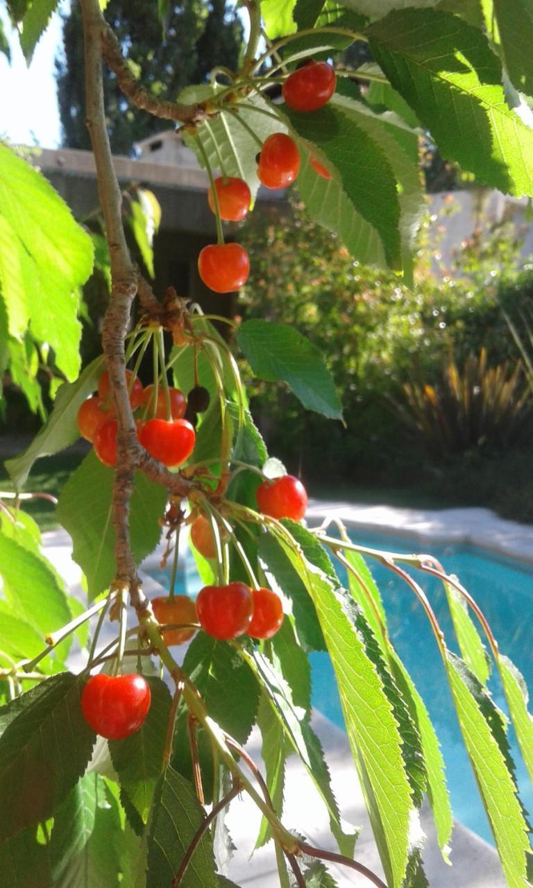 Casa Los Cerezos En Chacras De Coria Buitenkant foto